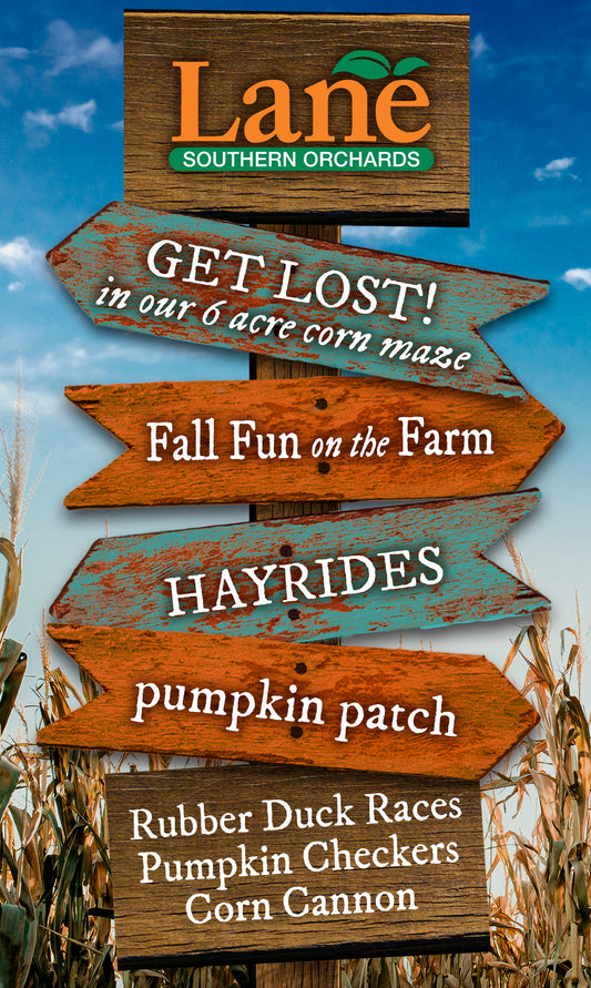 Happy Fall Y'all!