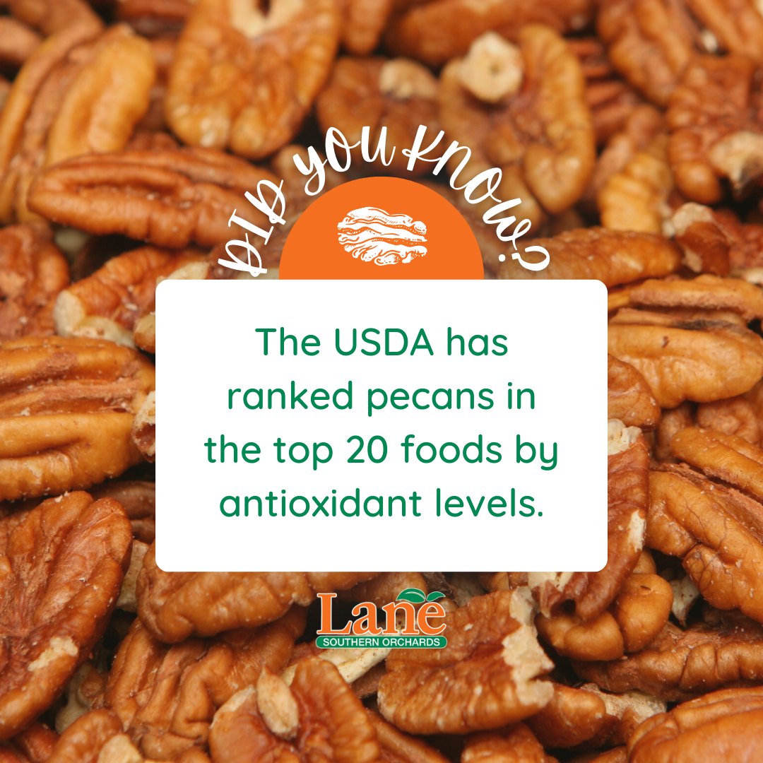 Pecan Halves